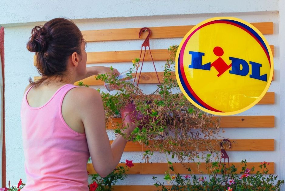 Wiszące kwietniki z Lidla