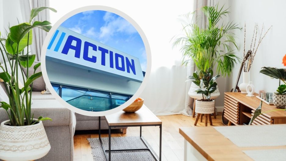 action kwietnik bambusowy