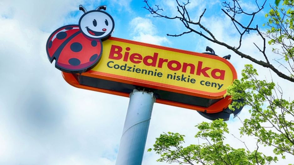 biedronka fotel bocianie gniazdo
