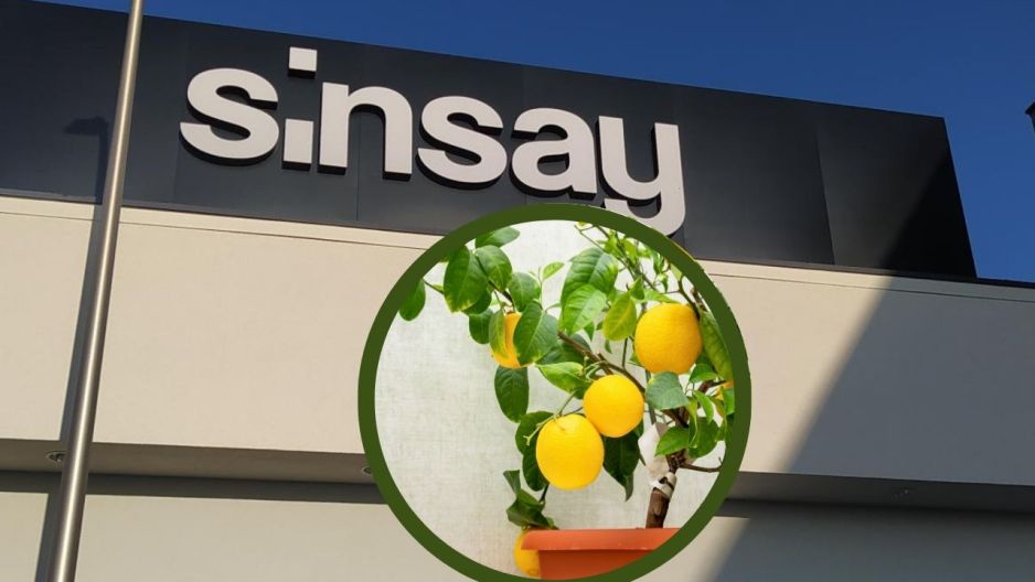 sinsay bawełniana pościel