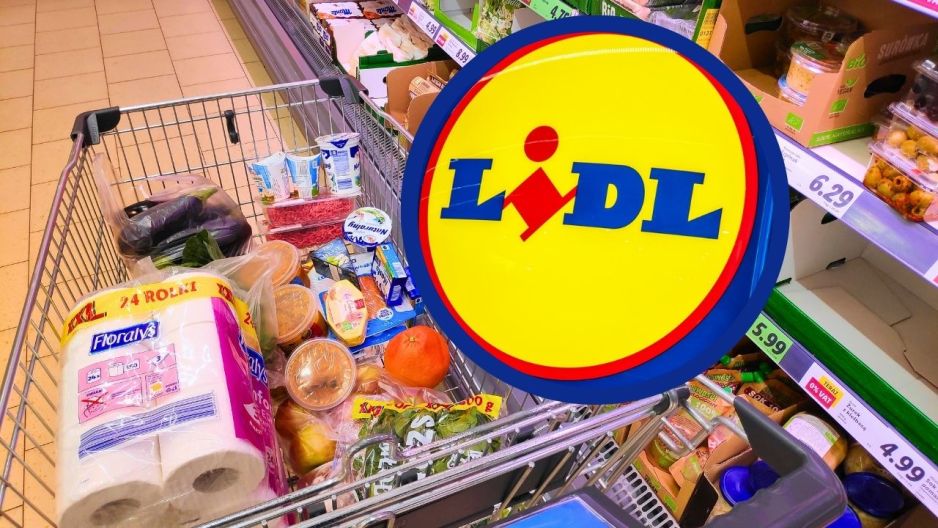lidl grill majówka