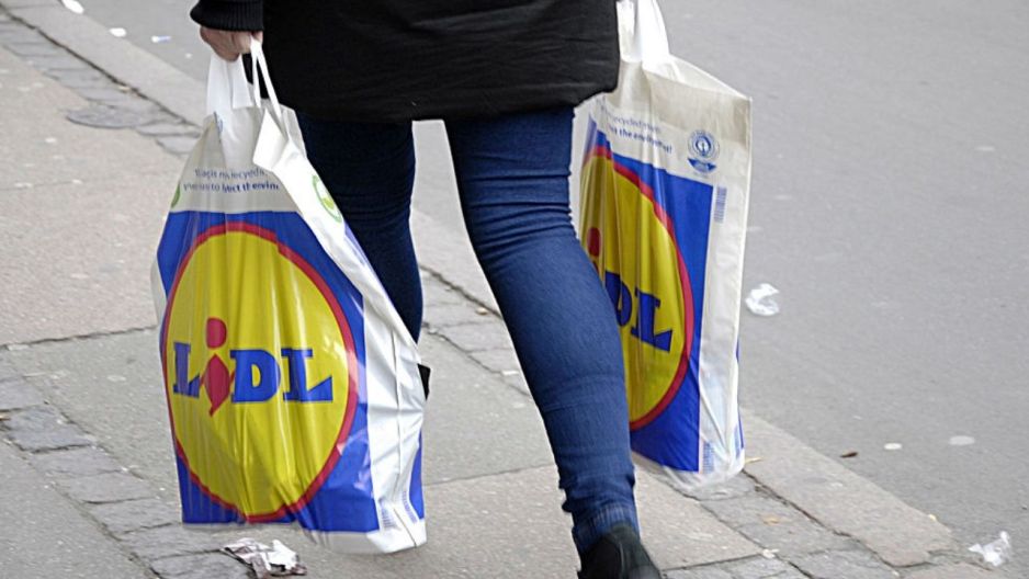 Rośliny rabatowe na promocji w Lidlu