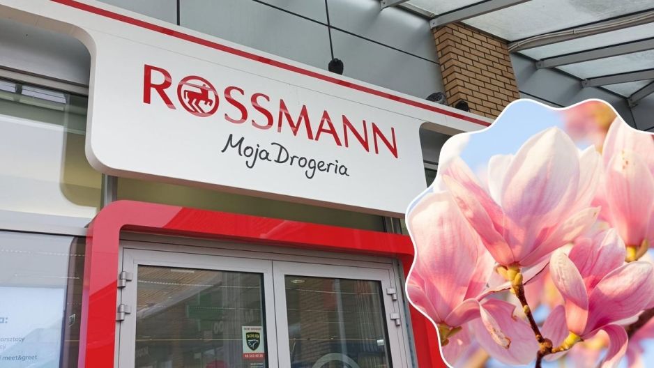 Saszetki o zapachu magnolii