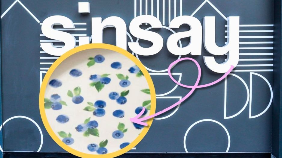 sinsay talerze w borówki