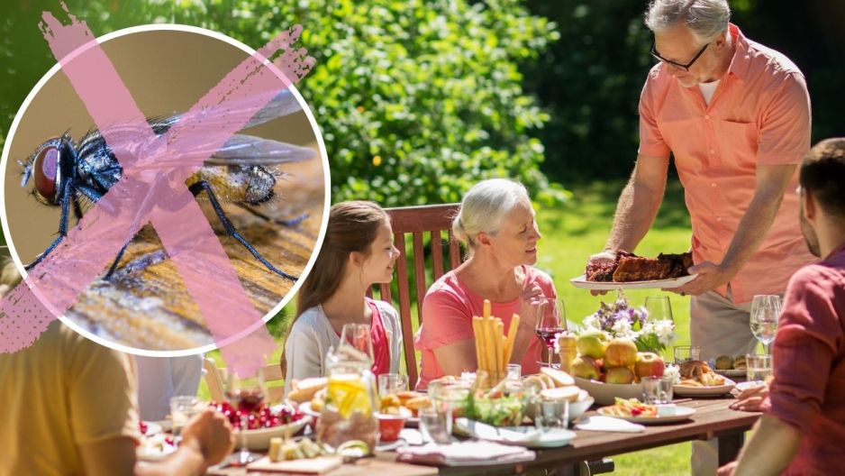 Sposób na odstraszenie much