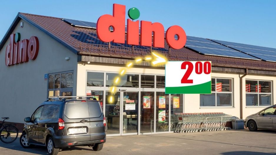 drzewka owocowe Dino