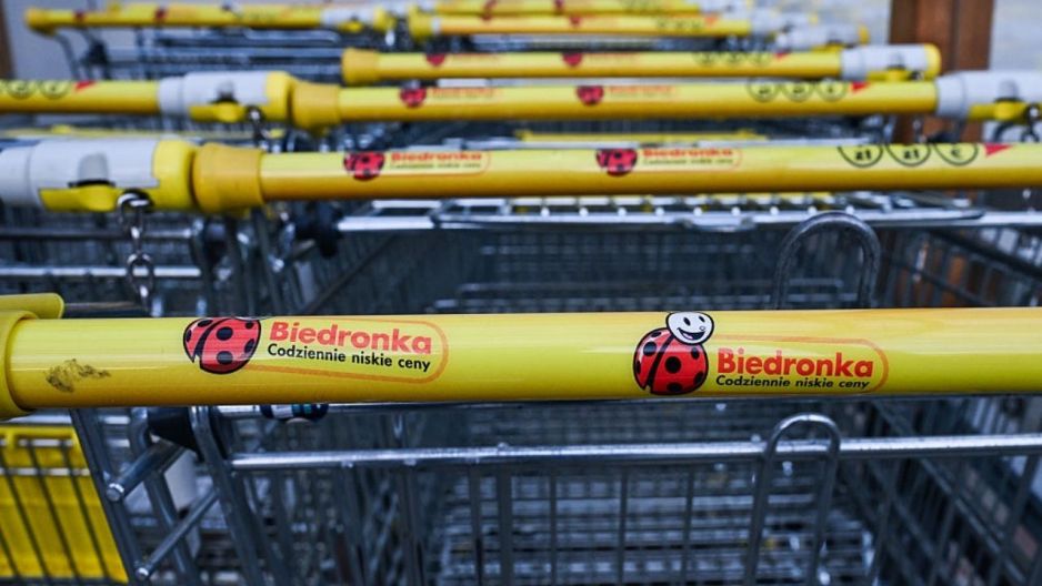 Krzesło wiszące Biedronka