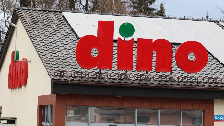 Roślina na promocji w Dino