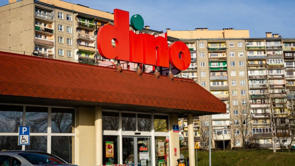 Dino promocje na kwiaty