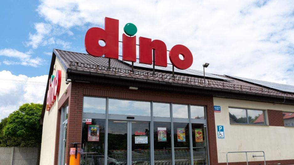 Lawenda z Dino