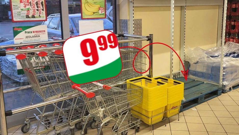 Roślina z Dino