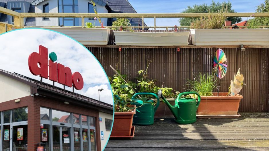 balkon, Dino
