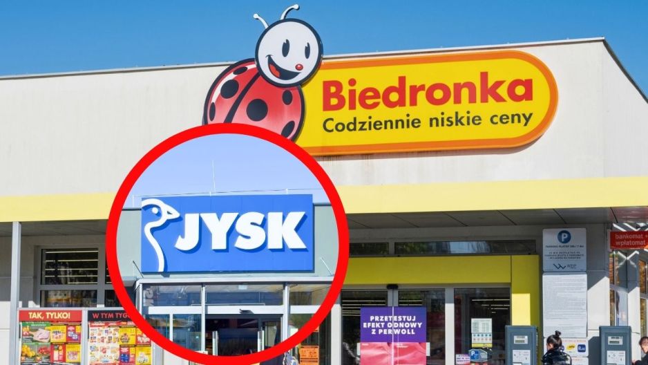biedronka fotel bujak