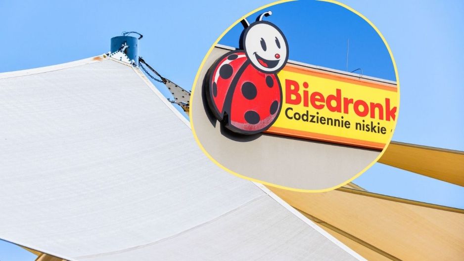 biedronka żagiel
