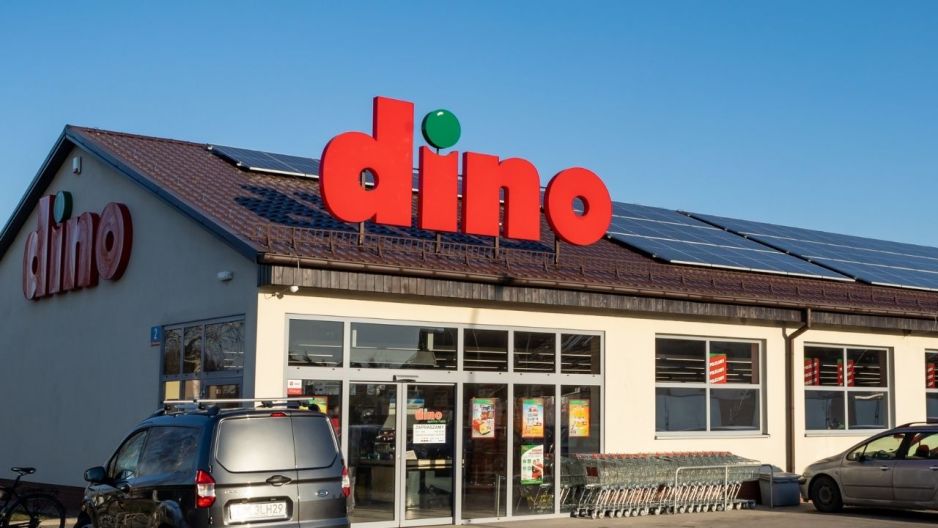 dino kwiaty