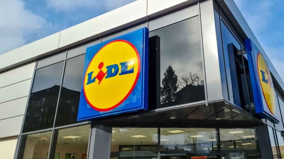 Leżak z Lidla