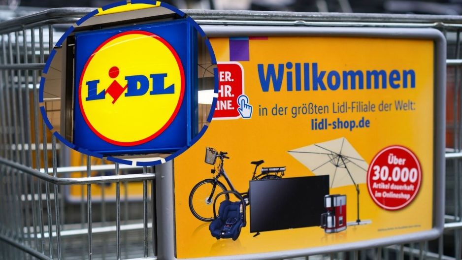 lidl fotel