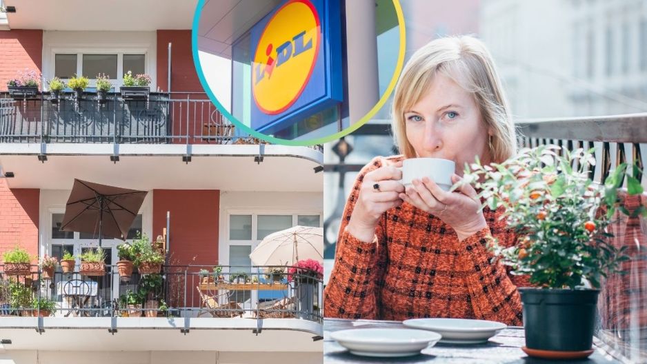 Lidl pufa na balkon Niemcy Polska