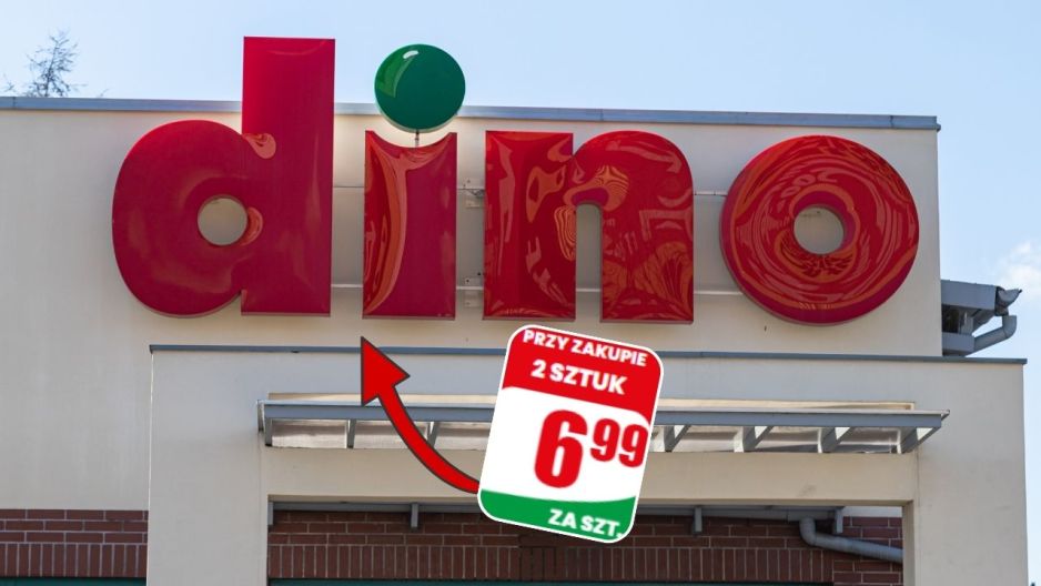 Rośliny w ceramice z Dino