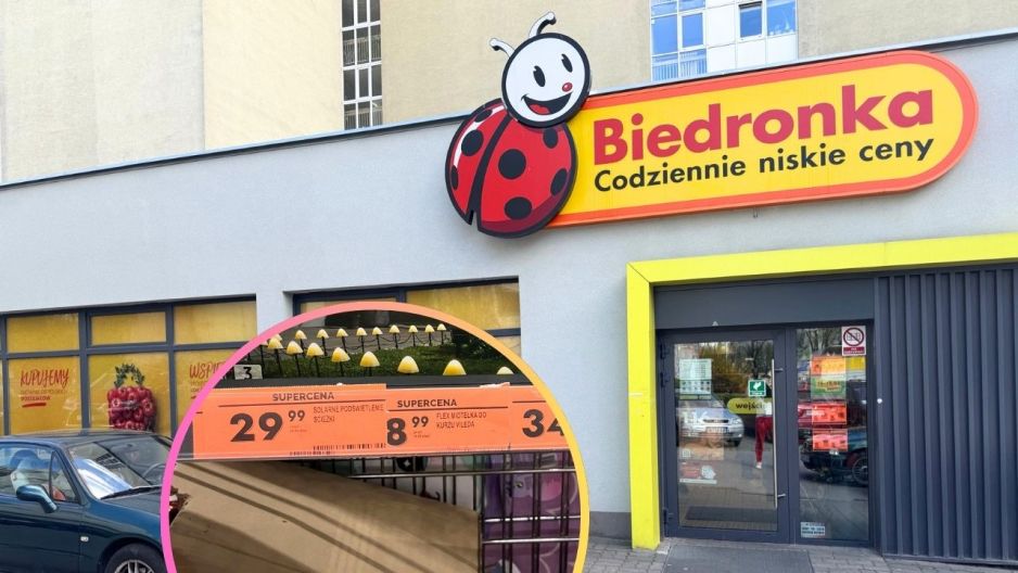 Biedronka lampy solarne solarna ścieżka