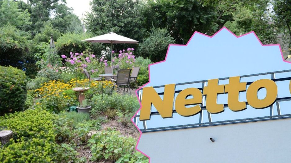 ogród, netto