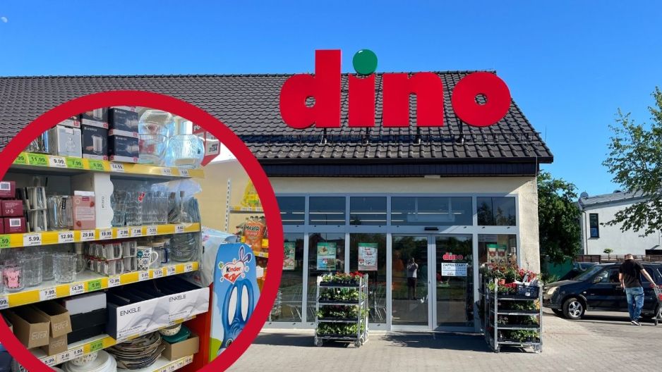 Ryflowane szkło z Dino