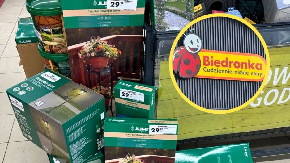 biedronka kwietnik