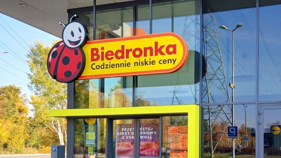 Leżak z Biedronki