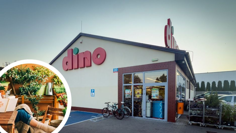 dino