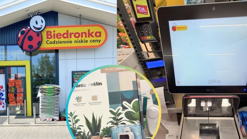 Biedronka nawadniacz do roślin