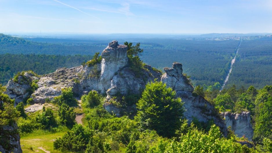 Góra Zborów
