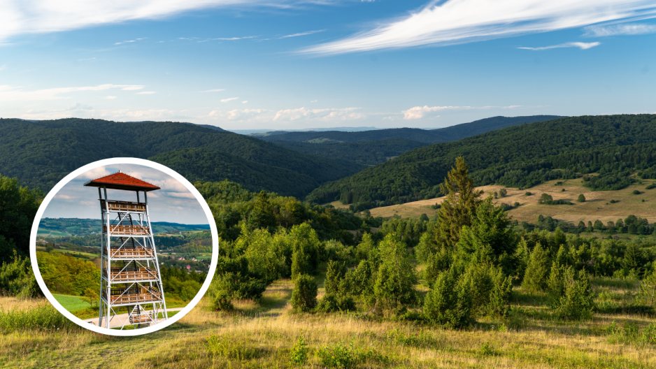 Ma 23 metry i 5 tarasów widokowych. Z tej wieży widokowej zobaczysz panoramę Beskidu Niskiego. Zapiera dech