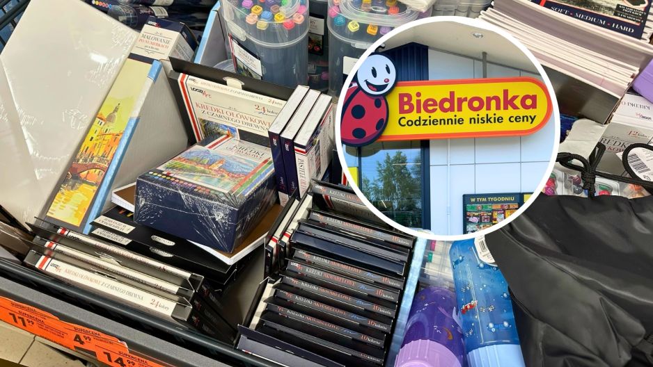 biedronka plastyczne