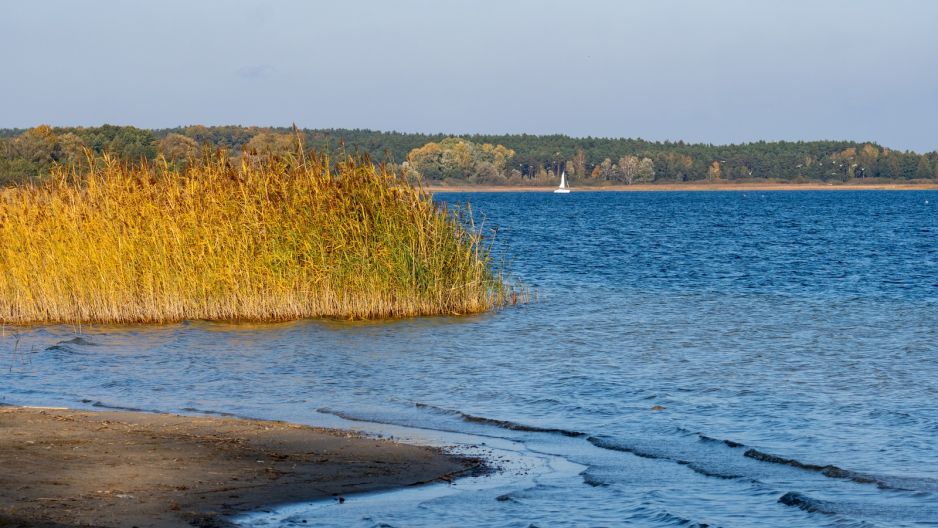 Jezioro Powidzkie