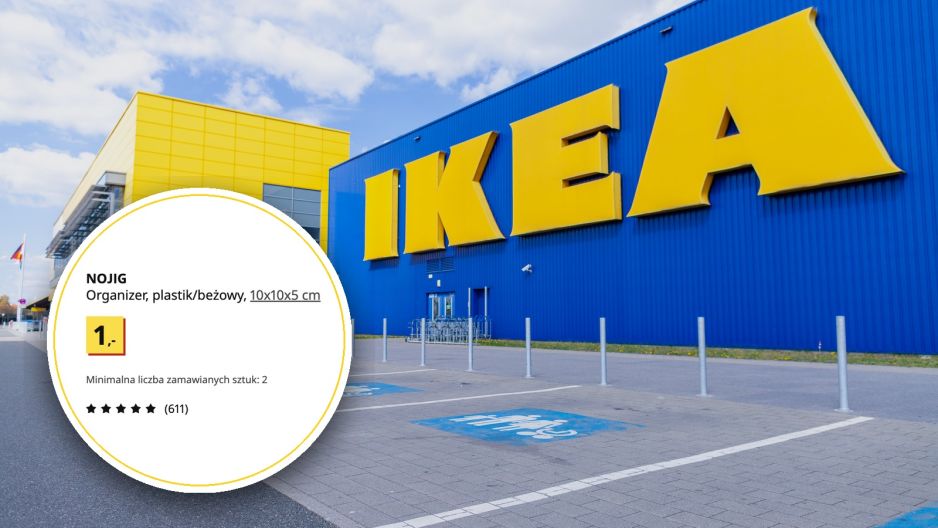 Pojemnik IKEA NOJIG