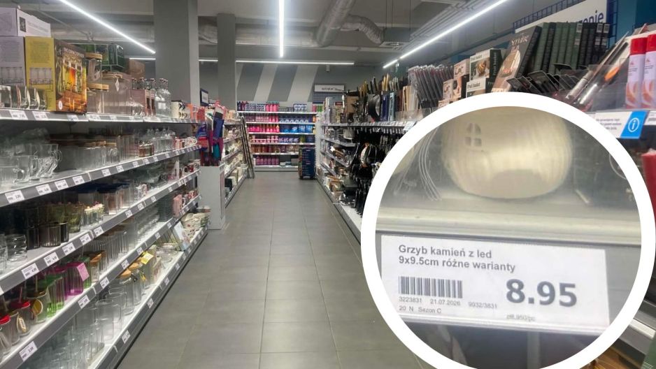 action