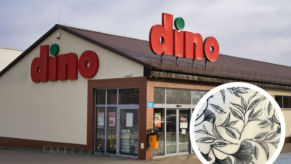 dino