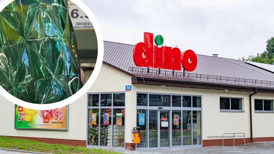 dino