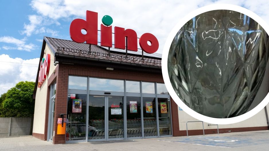 dino
