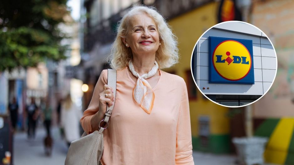 Wózek na zakupy z Lidla