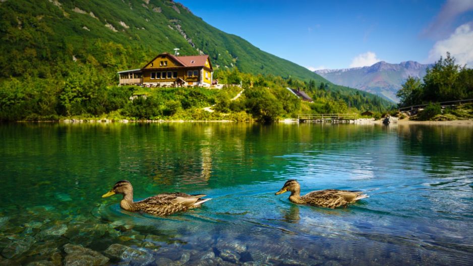 zelene pleso