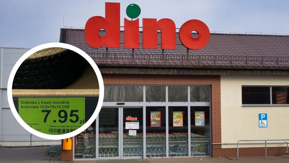 dino