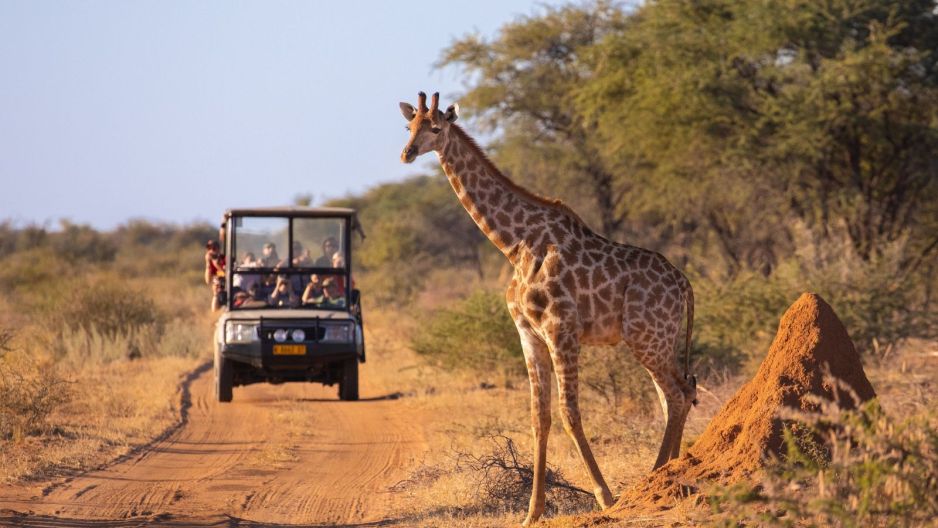 kenia