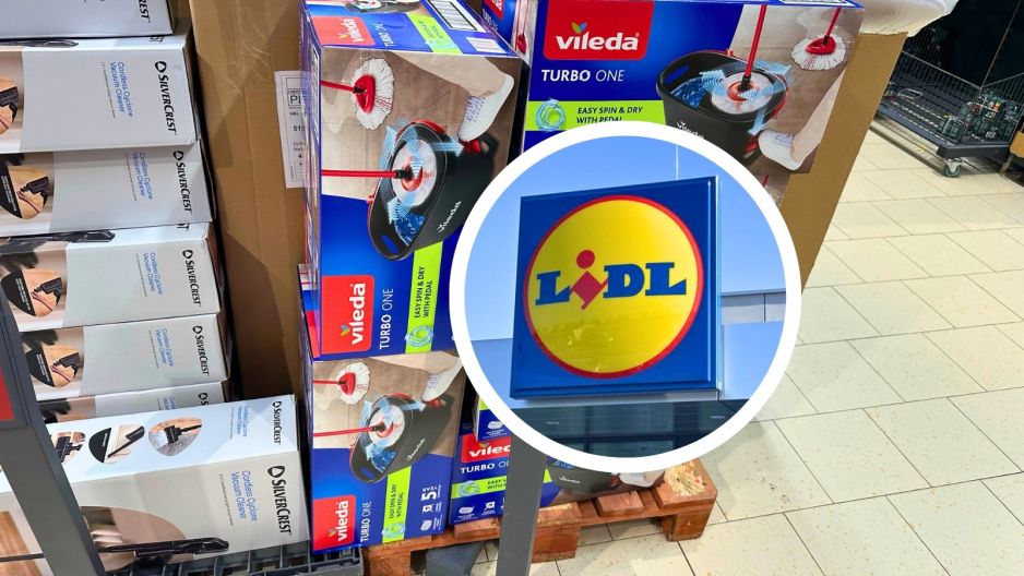 lidl vileda