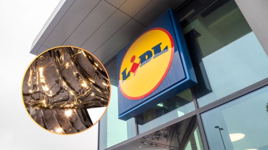 Świecące grzybki z Lidla
