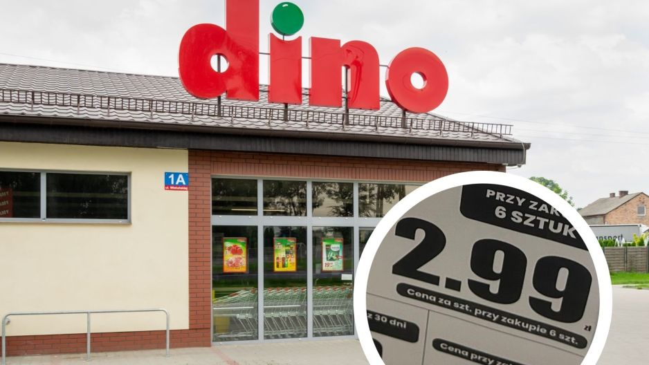 dino