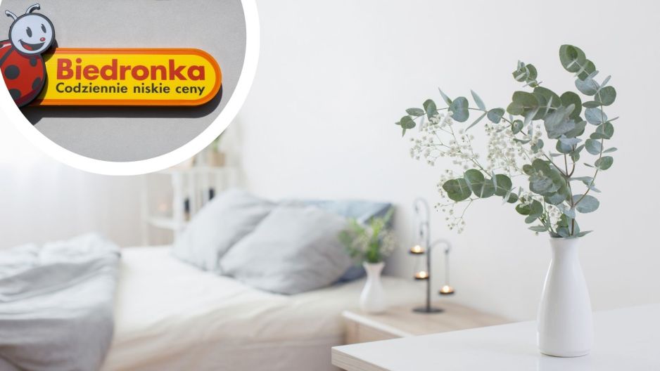 biedronka