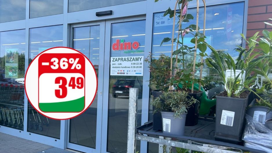 Rośliny z Dino