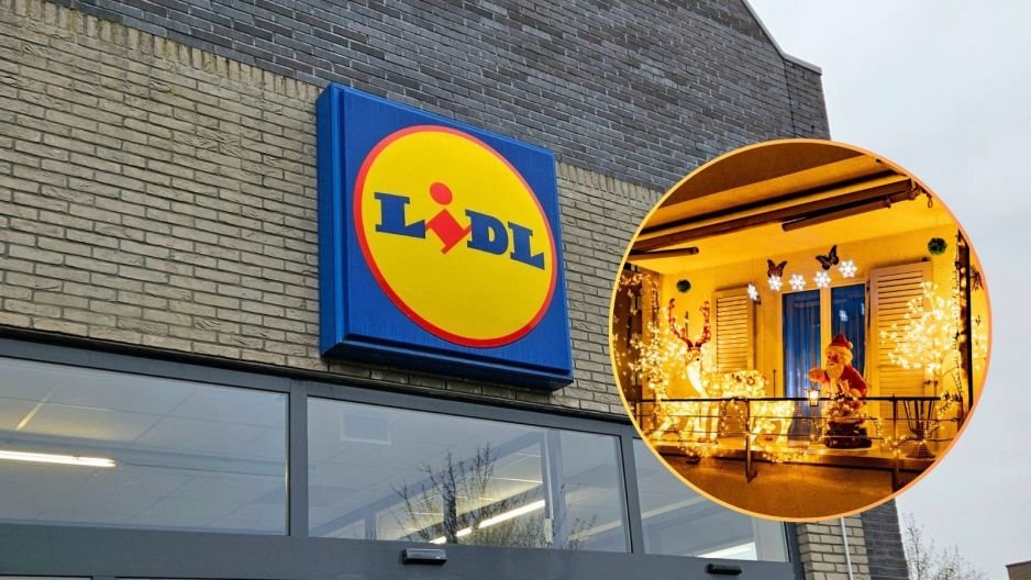 Świecący jelonek z Lidla