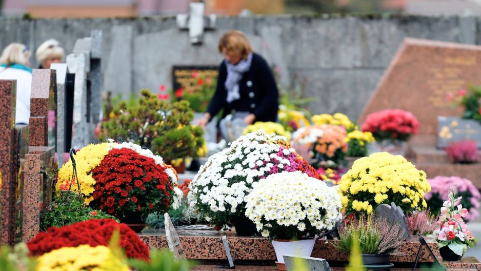 kwiaty Wszystkich Świętych 2026